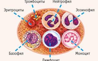 Лимфогранулематоз симптомы анализ крови показатели