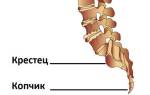 Резкая боль в копчике