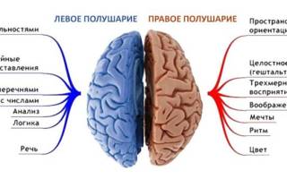 Инсульт ишемический левая сторона последствия сколько живут