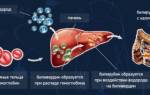 Общий билирубин прямой и непрямой