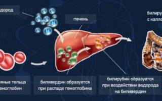 Общий билирубин прямой и непрямой