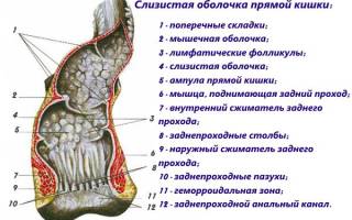 После туалета по большому болит попа