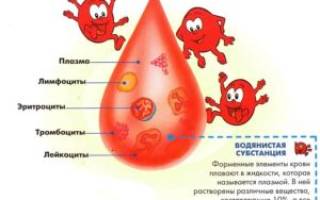 Гематокрит норма для женщин