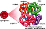 Общий анализ гемоглобин