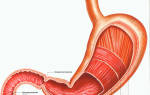 Заболевания желудка симптомы и признаки
