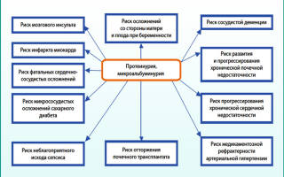 Что нужно есть чтобы не было белка в моче